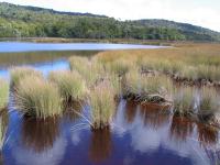 Albums/20060200-New Zealand 2006/20060313-Catlins/47